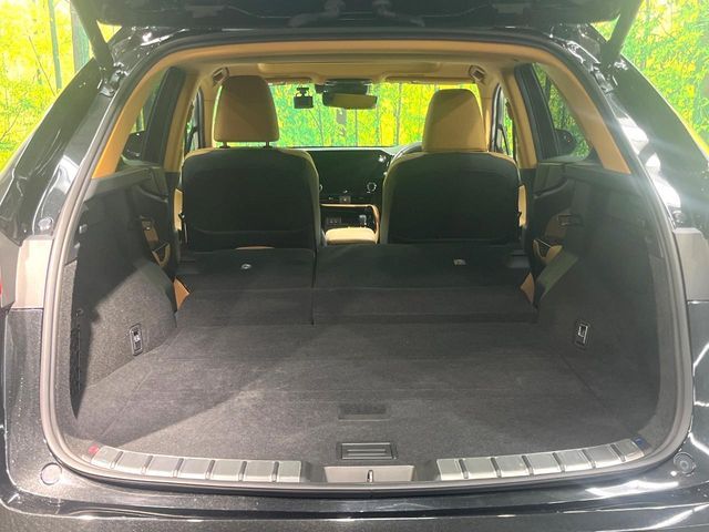 TOYOTA LEXUS NX250 2023