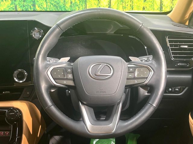TOYOTA LEXUS NX250 2023
