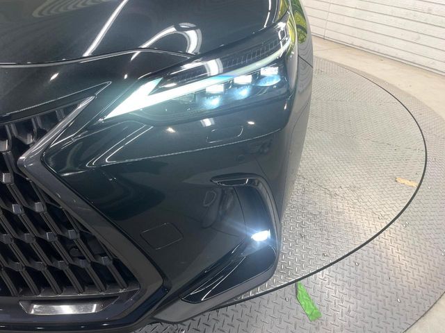 TOYOTA LEXUS NX250 2023