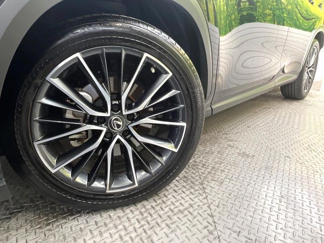 TOYOTA LEXUS NX250 2023