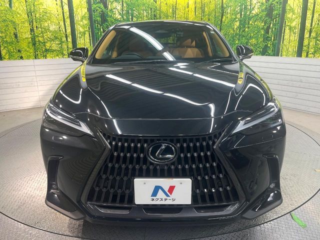 TOYOTA LEXUS NX250 2023