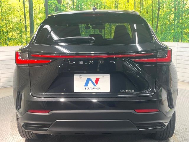 TOYOTA LEXUS NX250 2023