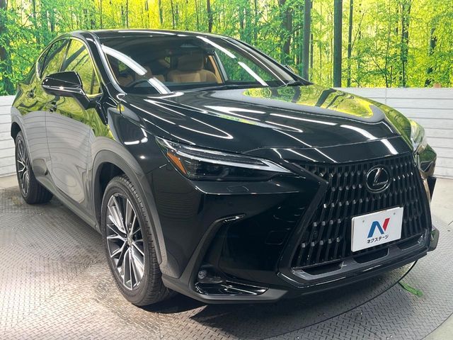TOYOTA LEXUS NX250 2023