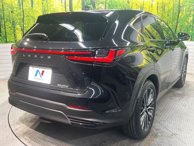 TOYOTA LEXUS NX250 2023
