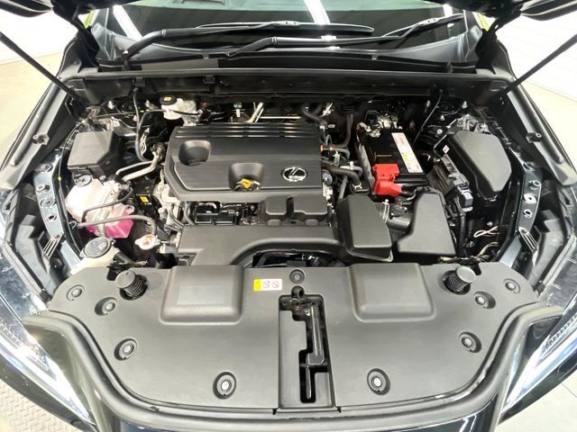 TOYOTA LEXUS NX250 2023