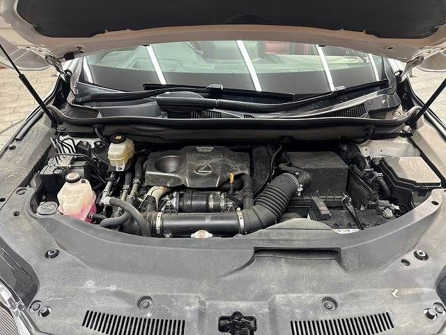 TOYOTA LEXUS RX300 2019