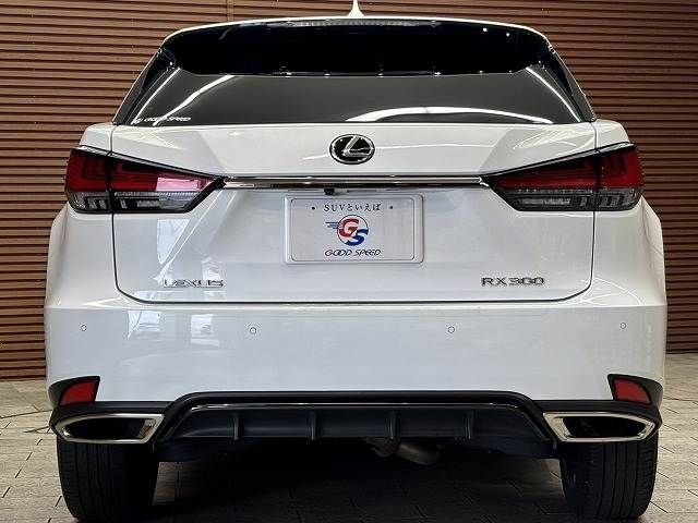 TOYOTA LEXUS RX300 2019