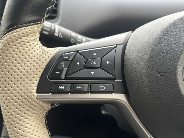 NISSAN SERENA  S-HYBRID 4WD 2022