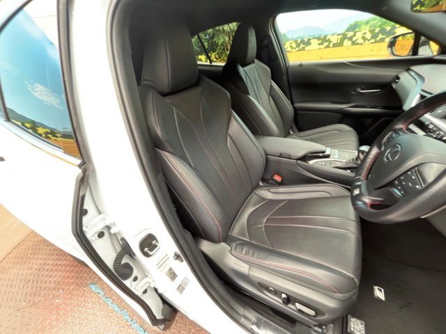 TOYOTA LEXUS UX250h 2020