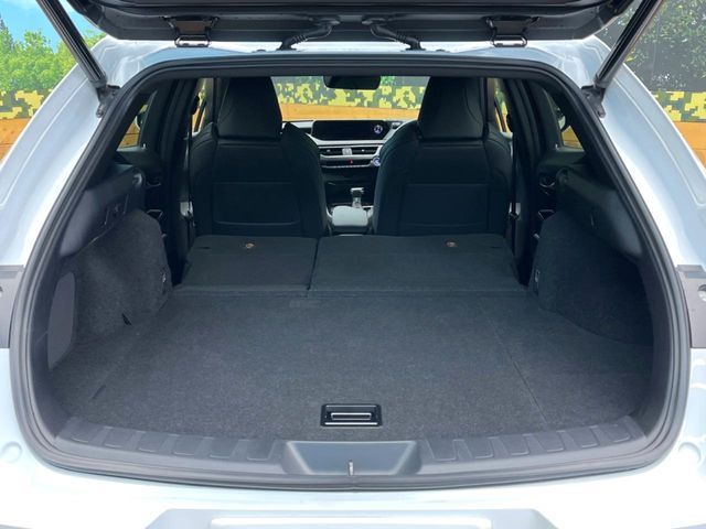 TOYOTA LEXUS UX250h 2020