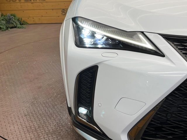 TOYOTA LEXUS UX250h 2020