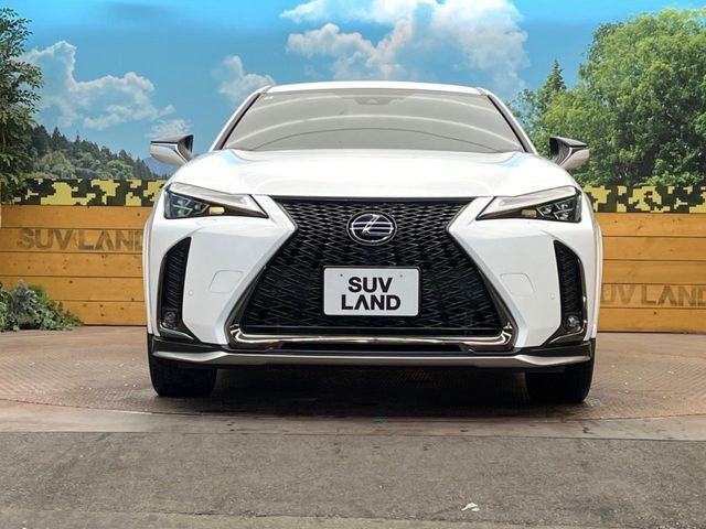 TOYOTA LEXUS UX250h 2020