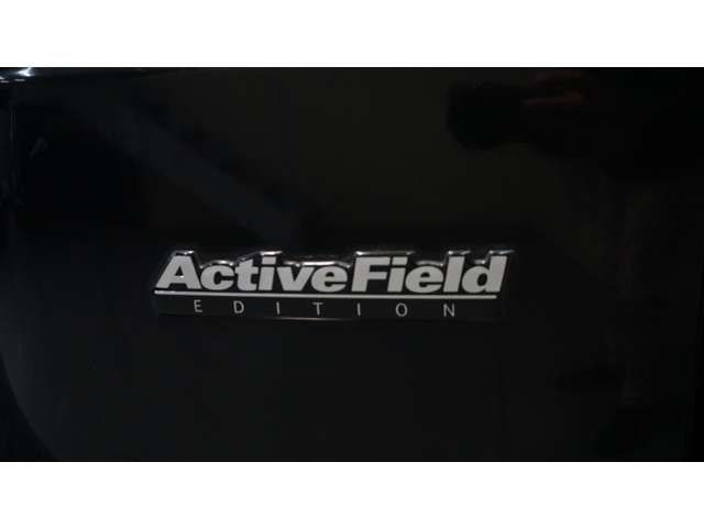 MITSUBISHI DELICA SPACE GEAR  4WD 2006