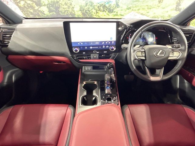 TOYOTA LEXUS NX250 2023