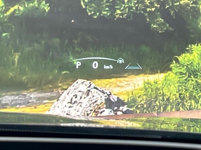 TOYOTA LEXUS NX250 2023