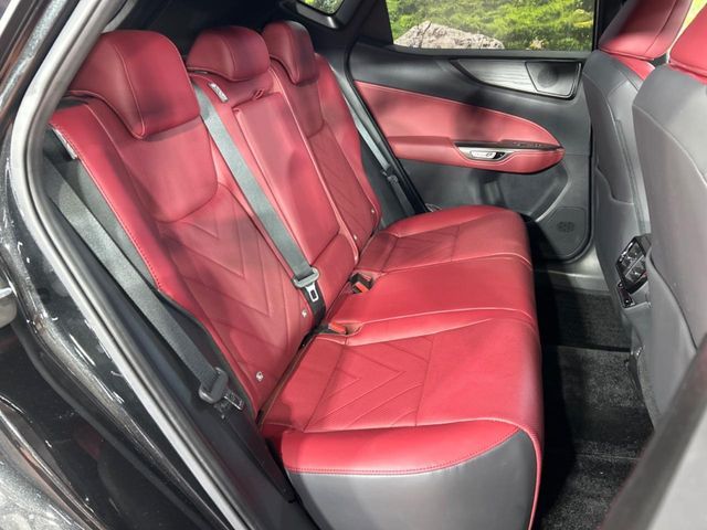 TOYOTA LEXUS NX250 2023