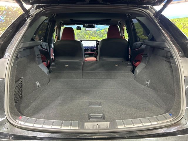 TOYOTA LEXUS NX250 2023