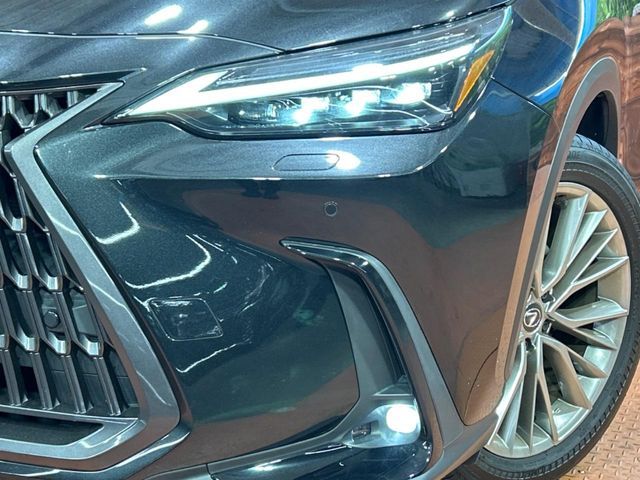TOYOTA LEXUS NX250 2023