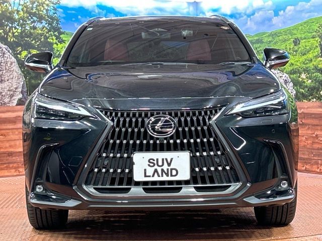 TOYOTA LEXUS NX250 2023