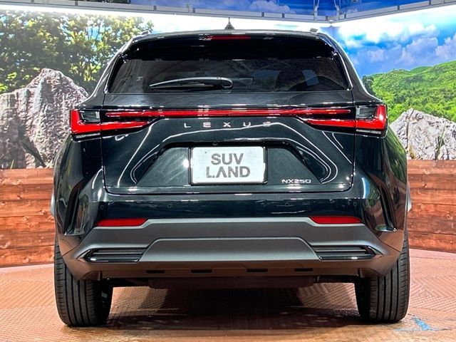 TOYOTA LEXUS NX250 2023