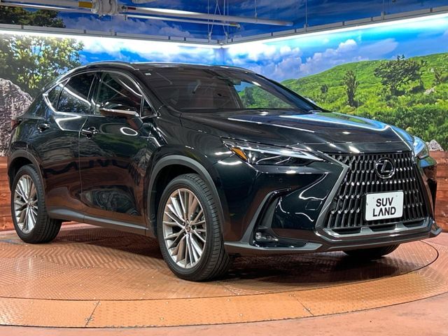 TOYOTA LEXUS NX250 2023