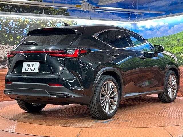 TOYOTA LEXUS NX250 2023