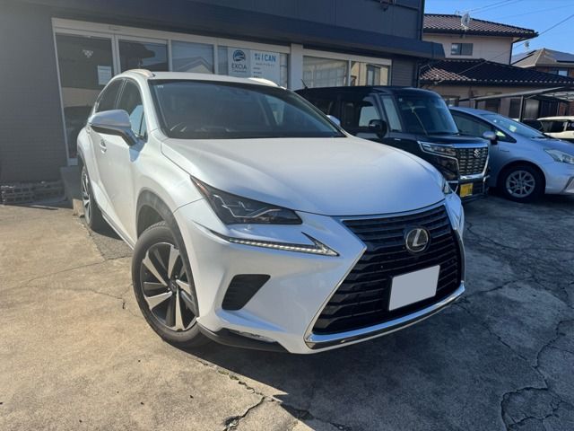 TOYOTA LEXUS NX300h 2018