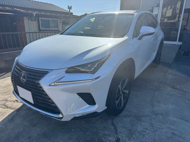 TOYOTA LEXUS NX300h 2018