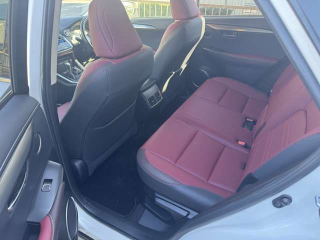 TOYOTA LEXUS NX300h 2018