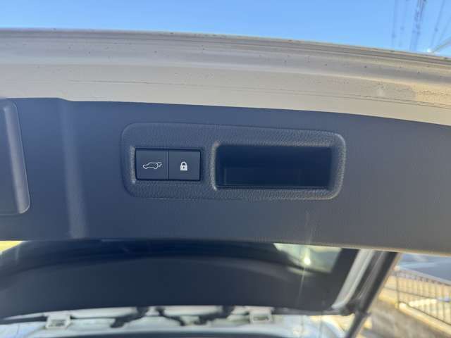 TOYOTA LEXUS NX300h 2018