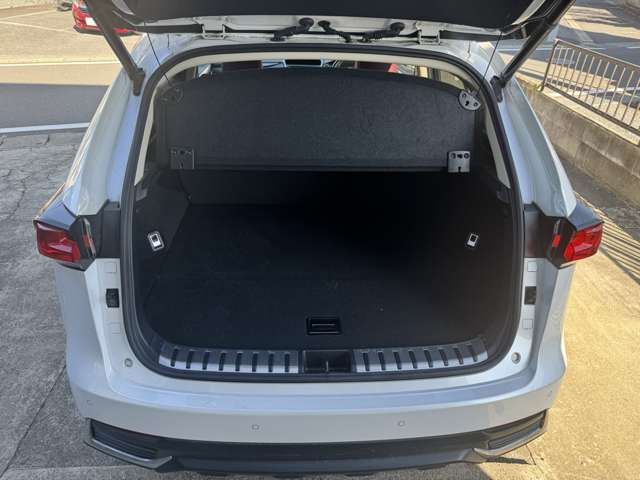 TOYOTA LEXUS NX300h 2018