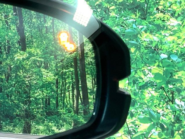 HONDA FREED e:HEV 2025