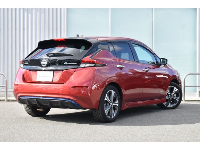 NISSAN LEAF 2019