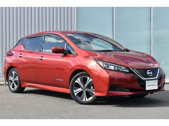 NISSAN LEAF 2019