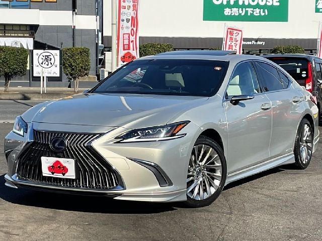 TOYOTA LEXUS ES300h 2019