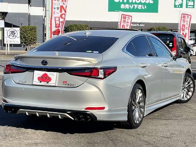 TOYOTA LEXUS ES300h 2019