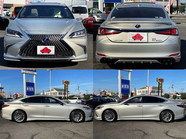 TOYOTA LEXUS ES300h 2019