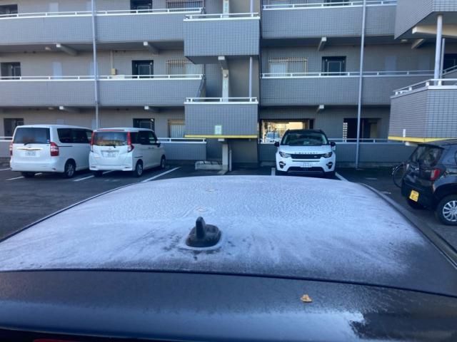 VOLKSWAGEN VOLKSWAGEN GOLF 2007