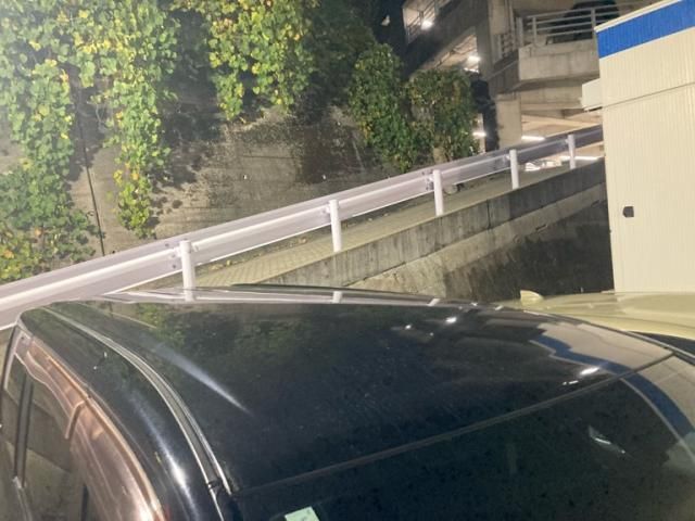 NISSAN SERENA  WG 2009