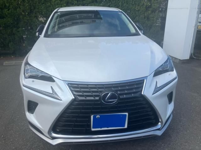 TOYOTA LEXUS NX300h 2021
