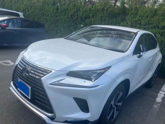 TOYOTA LEXUS NX300h 2021