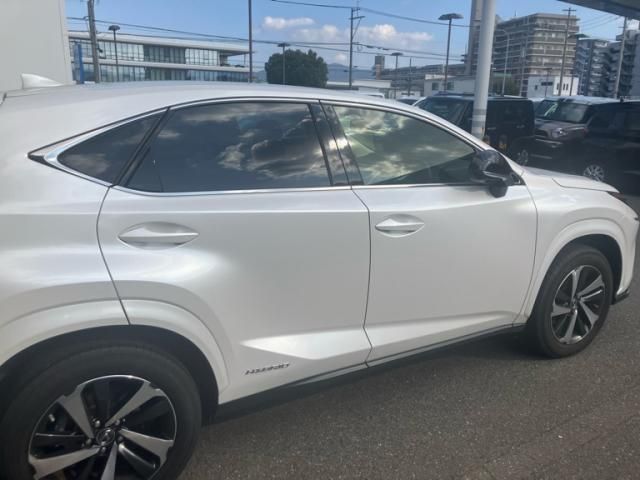 TOYOTA LEXUS NX300h 2021