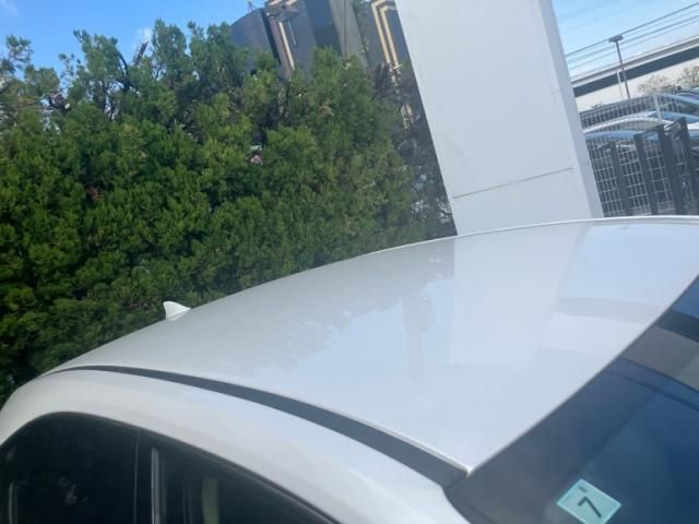 TOYOTA LEXUS NX300h 2021