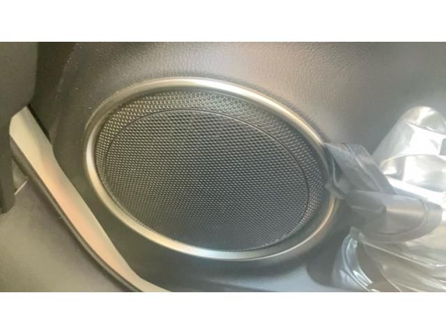 TOYOTA LEXUS NX300h 2021