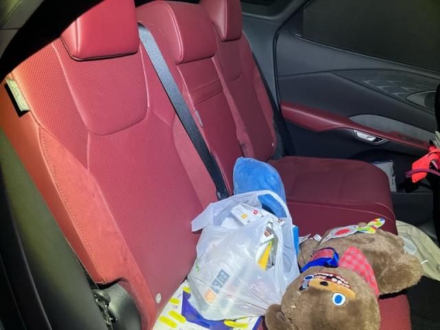 TOYOTA LEXUS RX500h 2023