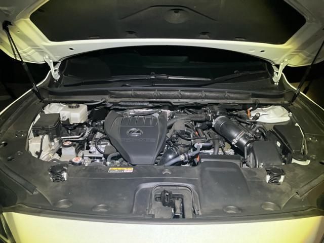 TOYOTA LEXUS RX500h 2023