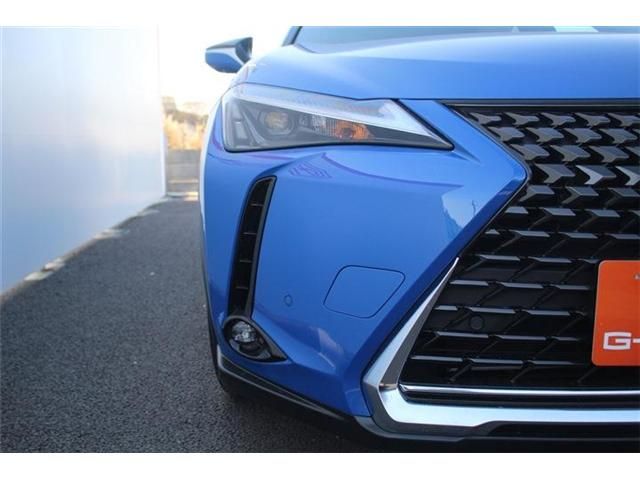 TOYOTA LEXUS UX250h 2023