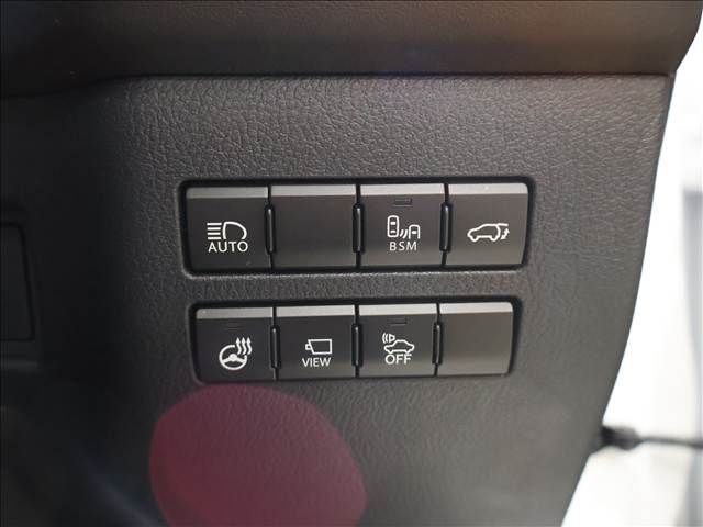 TOYOTA LEXUS NX300h AWD 2018