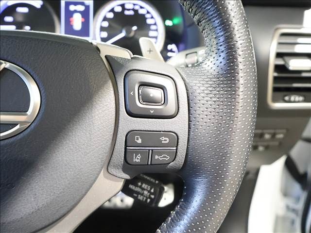 TOYOTA LEXUS NX300h AWD 2018