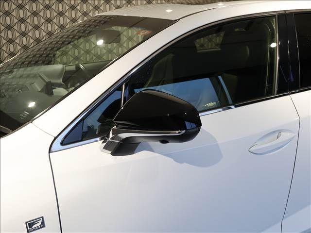 TOYOTA LEXUS NX300h AWD 2018